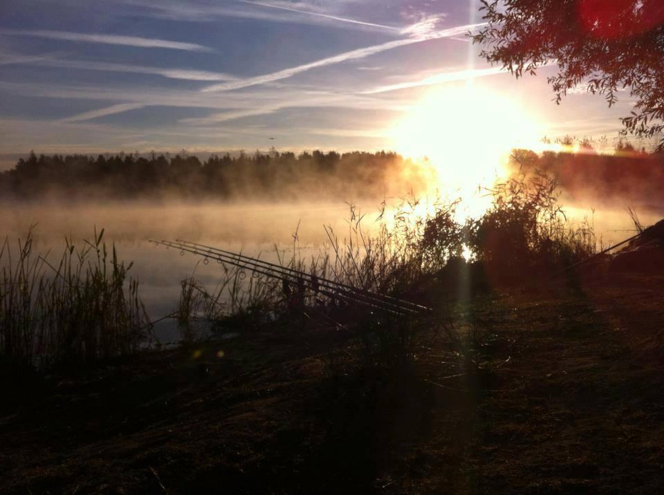 ::::::::LIKE:::::::: - 9417085427790690911991612227314n.jpg